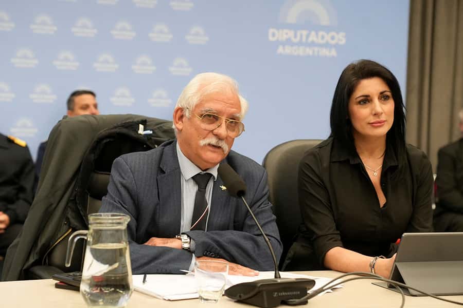 Diputados avanzó en el debate de Defensa de la Soberanía