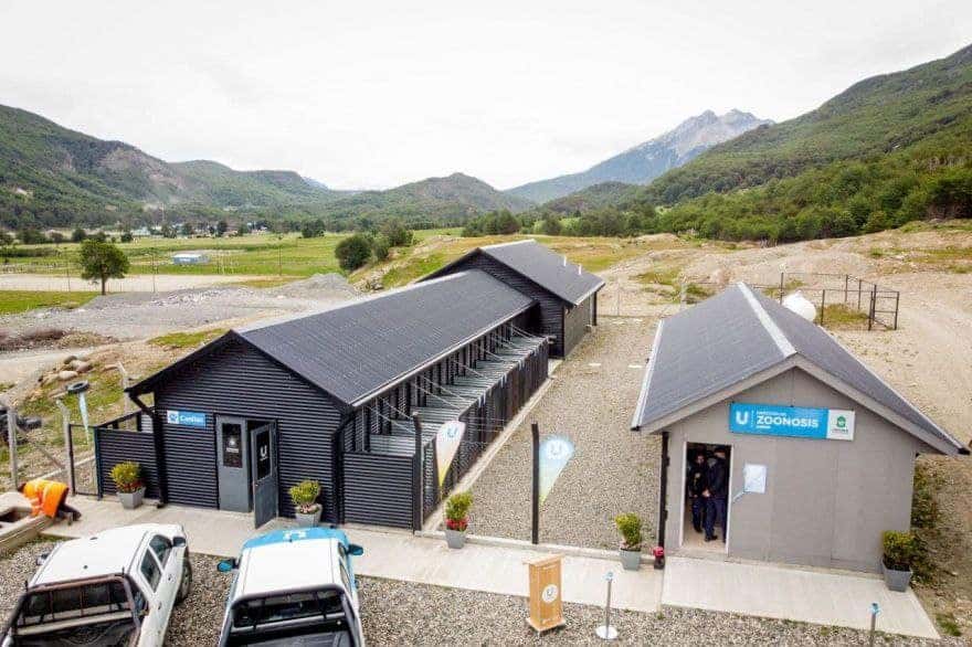La Municipalidad de Ushuaia actuó ante el ataque de dos perros pitbull en el barrio Los Moros