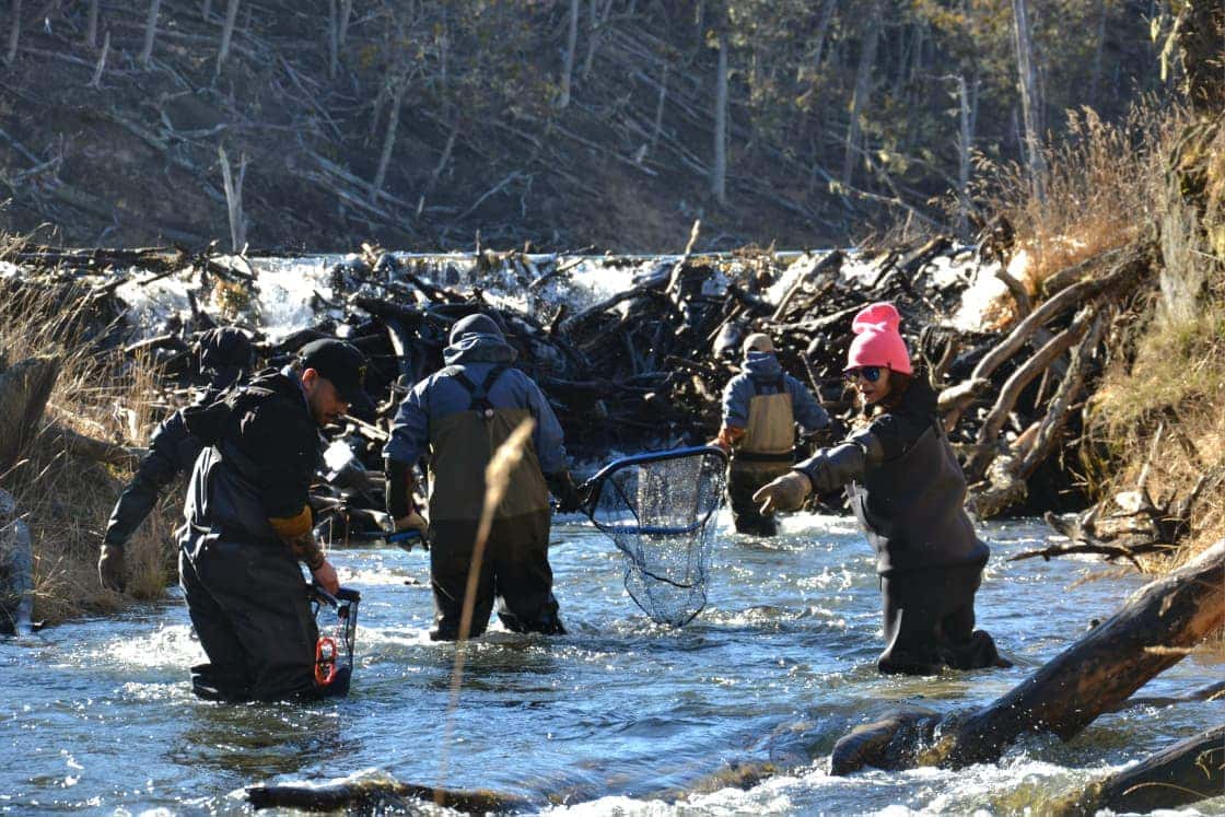 Tierra de Fuego trabaja para repoblar los ríos y lagos para la temporada de pesca deportiva