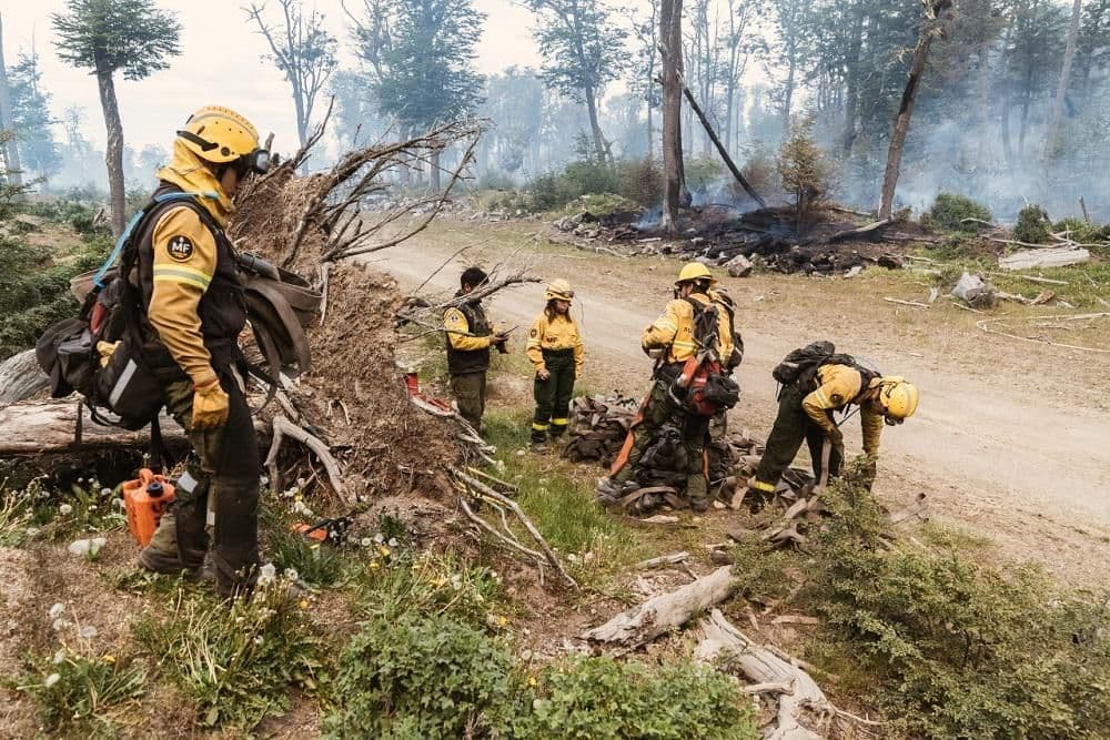 Dos procesados por el incendio forestal en el Corazón de la Isla