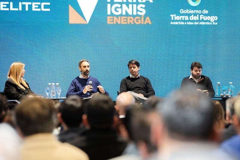 Nace Terra Ignis y reactiva pozos cedidos por YPF