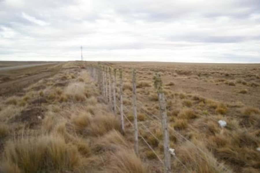 Tierra del Fuego recaudó apenas $5 millones en un año por el impuesto inmobiliario rural