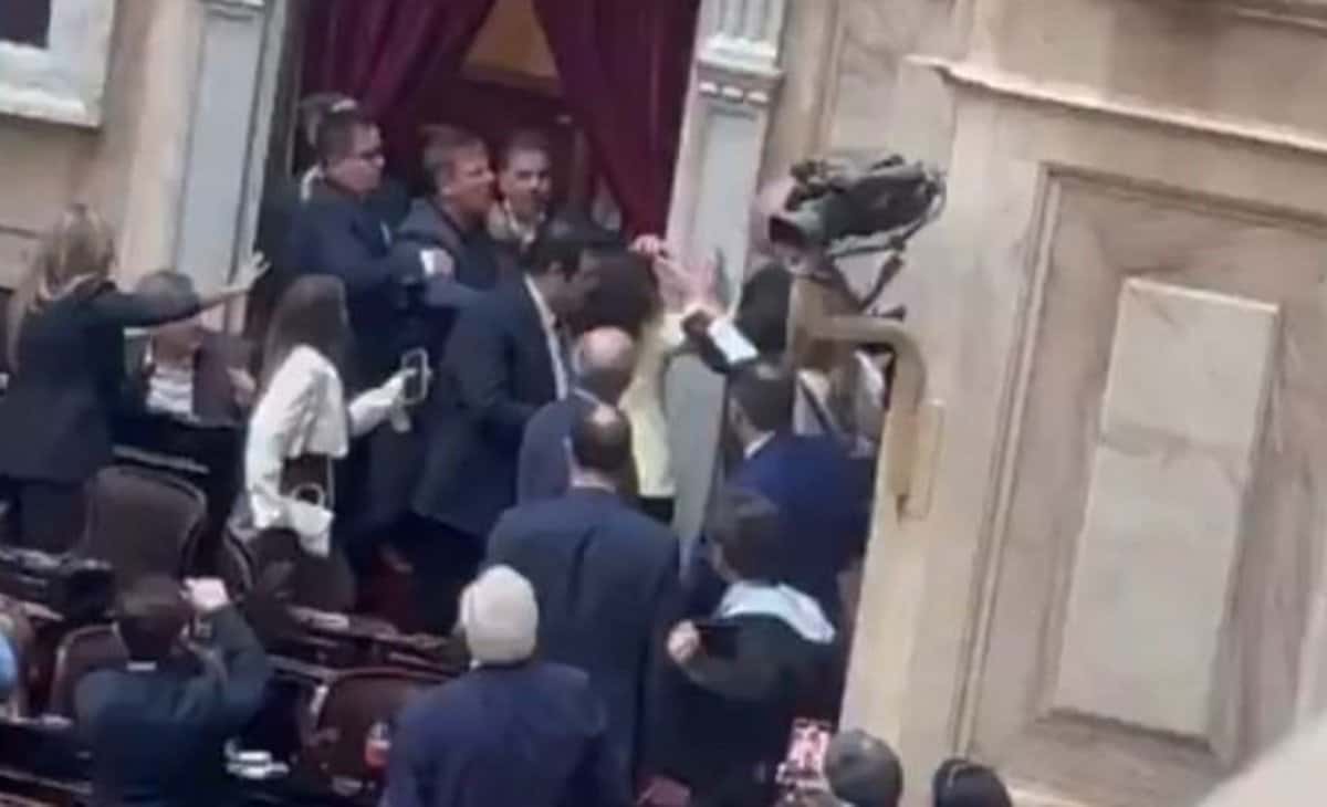 Dos diputados a los golpes en el recinto