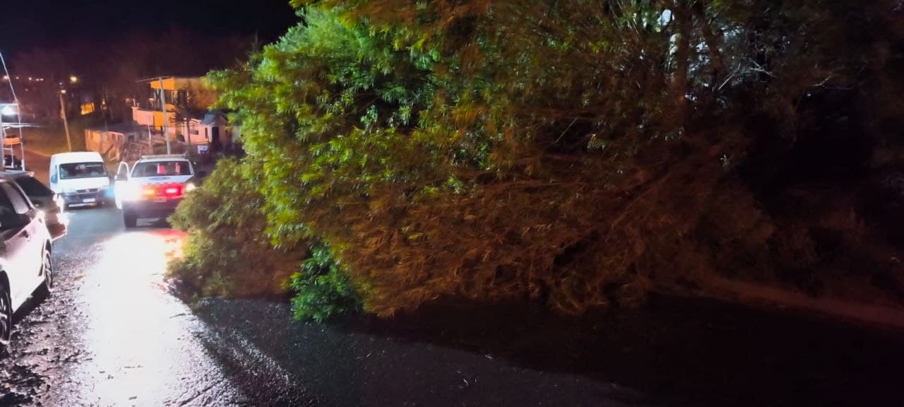 Alerta Amarilla por Viento: Defensa Civil activó comando de incidentes en Ushuaia