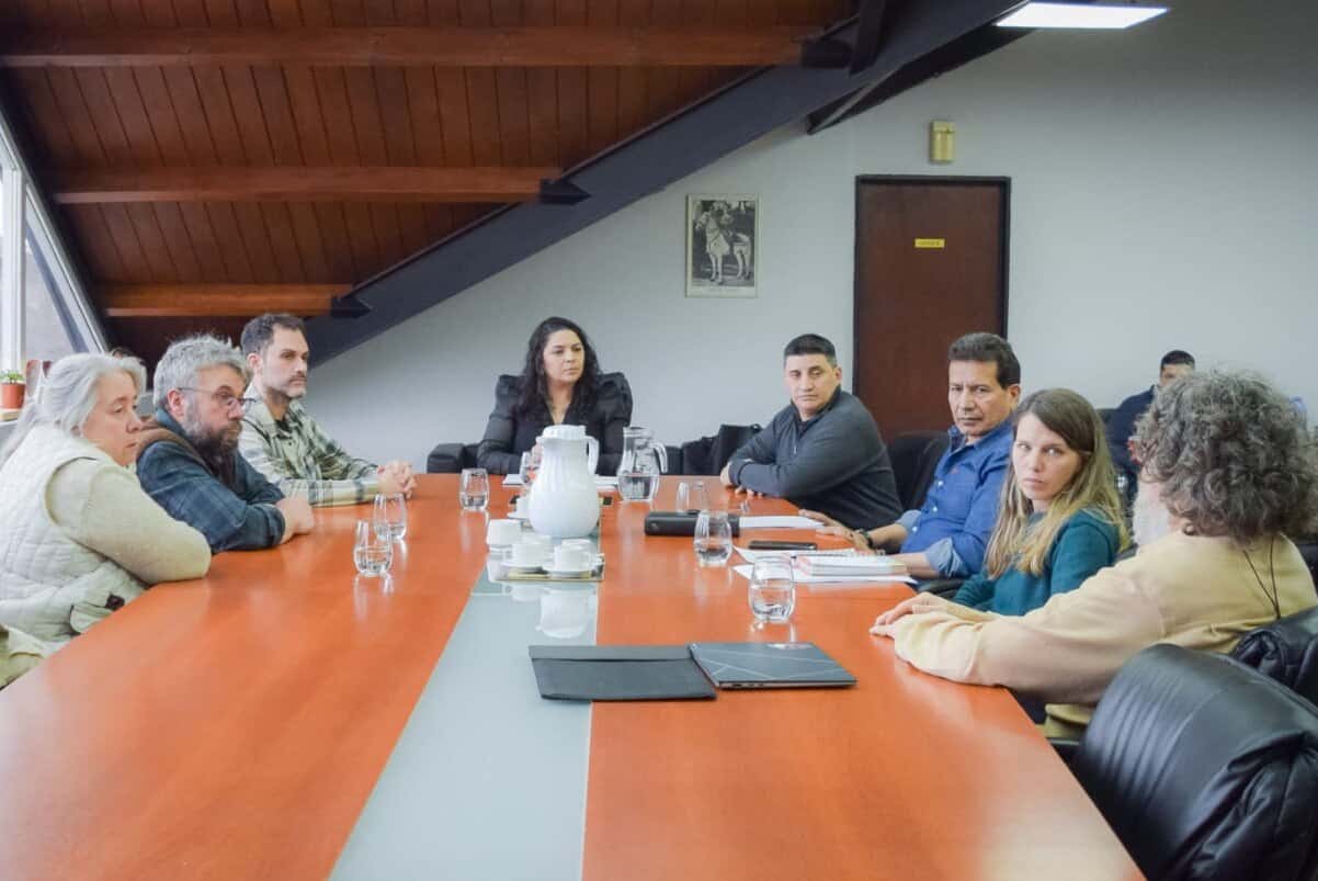 Gobierno avanza en acciones para controlar el problema de los perros asilvestrados