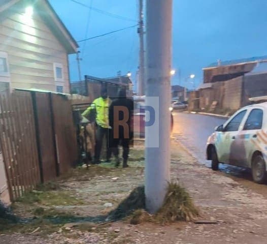 Lo buscaban para notificarlo de un allanamiento y lo sorprendieron robando de nuevo