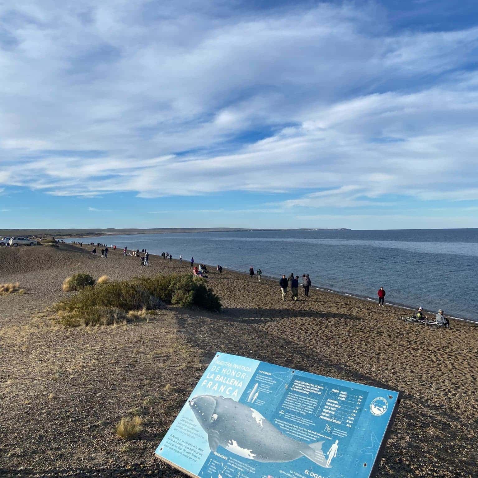 Las Canteras: la playa de Puerto Madryn que compite con las mejores playas de Sudamérica
