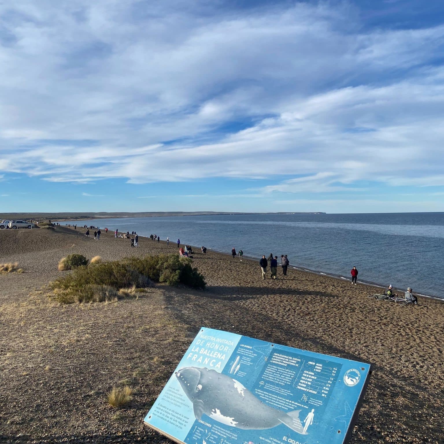 Las Canteras: la playa de Puerto Madryn que compite con las mejores playas de Sudamérica