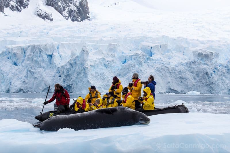 De Machu Picchu a las Galápagos y la Antártida: el exceso de turismo amenaza destinos icónicos