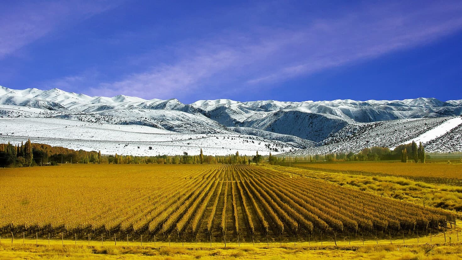 ¿Qué destinos buscan los argentinos para el fin de semana largo del 8 de diciembre?