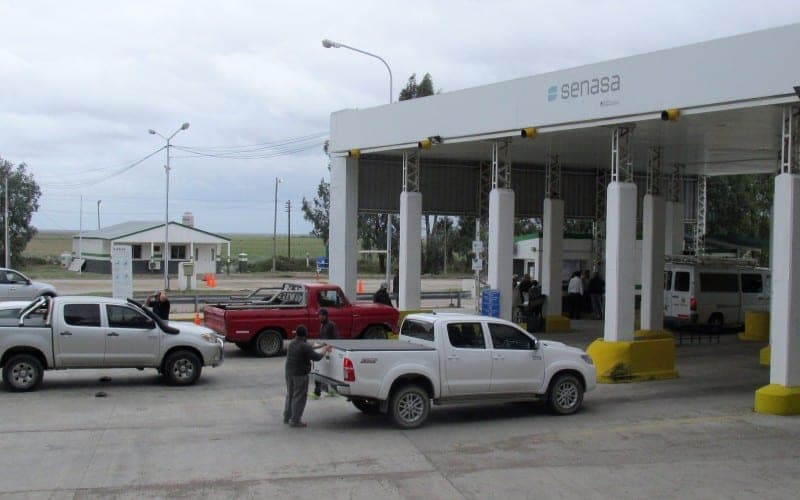 Recomendaciones a los turistas para prevenir el ingreso de la Mosca de los frutos