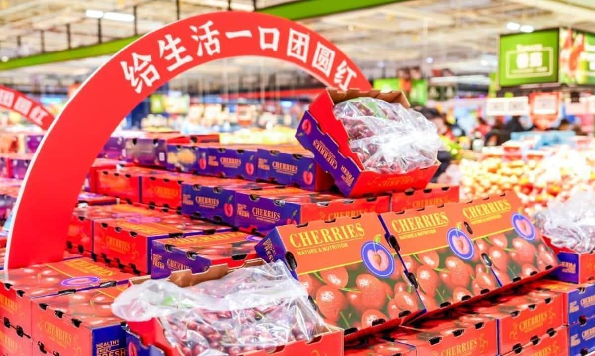 Chile exporta 113,8 millones de cajas de cerezas en 2025/26, con China como principal mercado