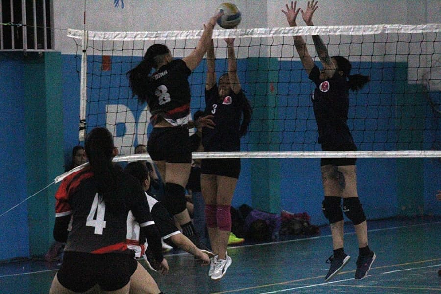 Victorias de Polo Team, Universitario y Academia en Primera